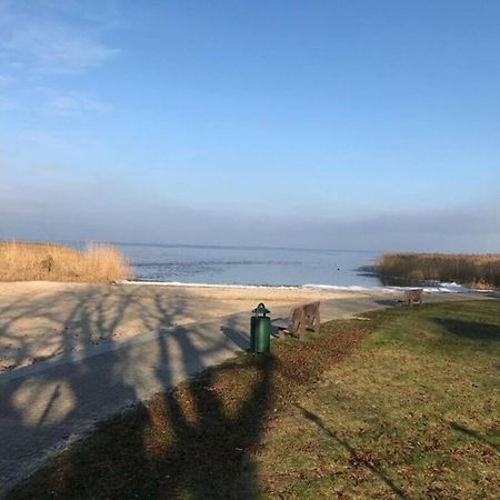 Ferien-Bungalow Im Seebad Ueckermuendeot Bellin Bagian luar foto